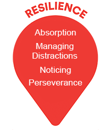 Program Development Icons Resilience