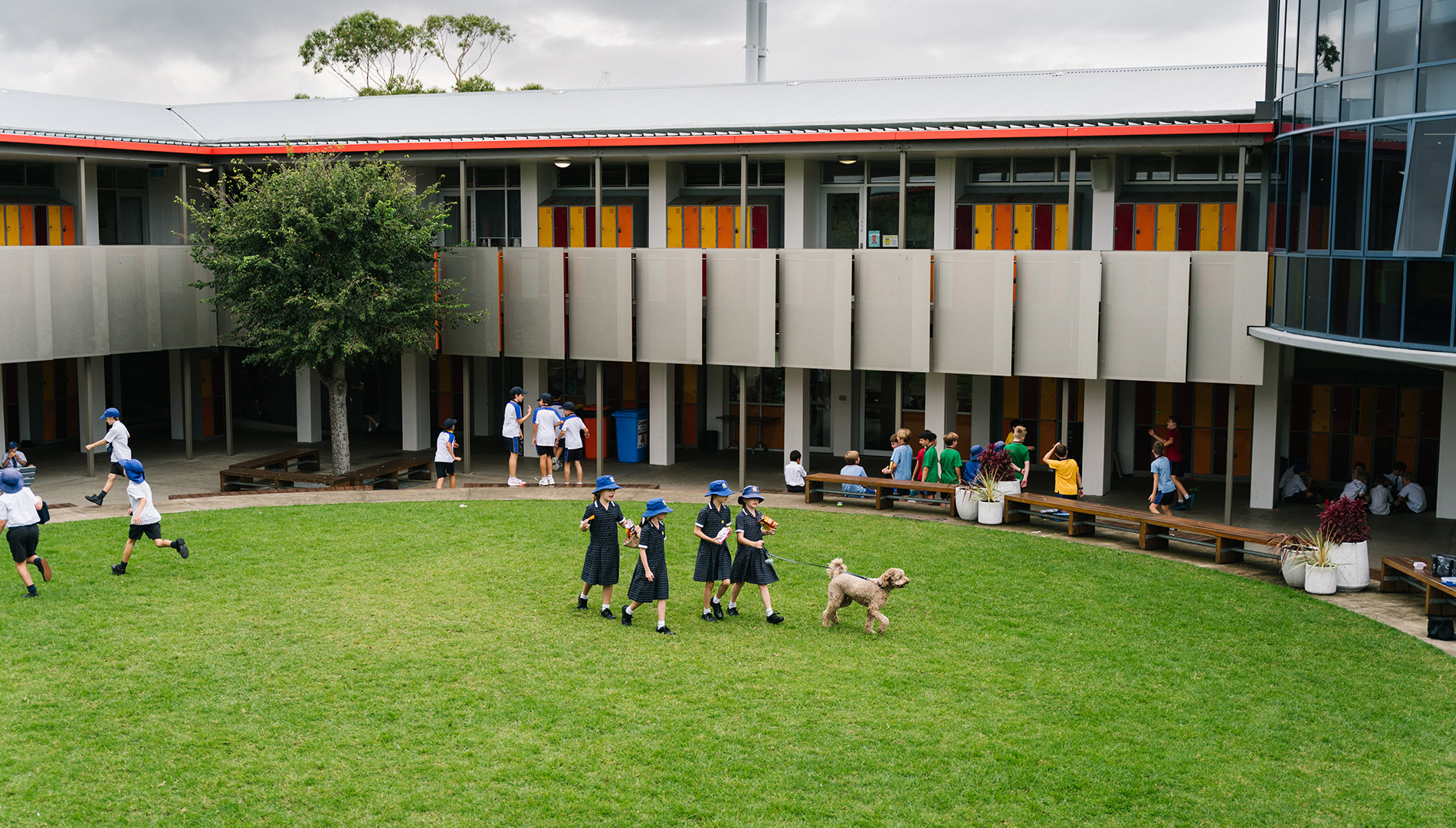 Children on playground