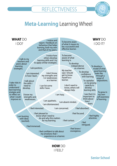 SS REFLECTIVENESS - METALEARNING Wheel